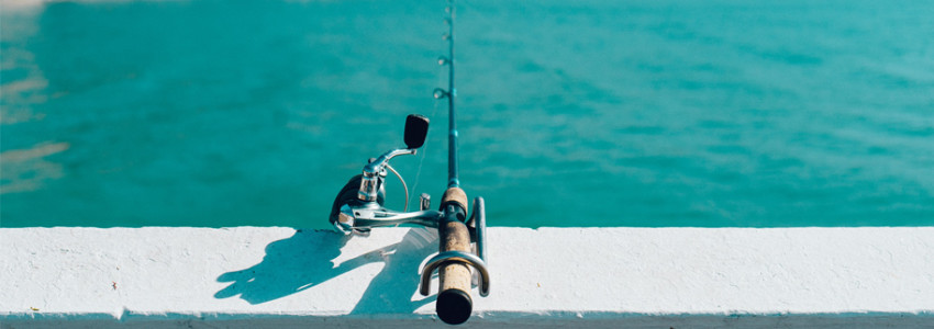 cazaypesca cazaypesca